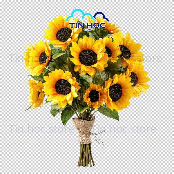 Mẫu bó hoa vector hoa trang trí poster