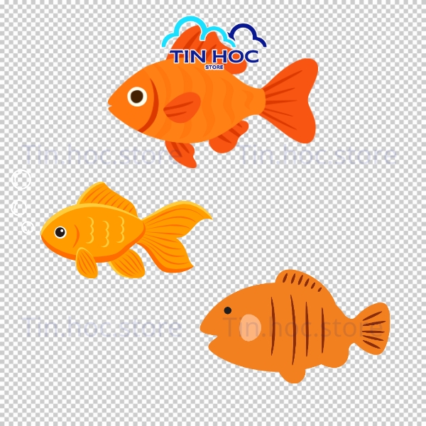 Mẫu cá chép vàng vector biểu tượng thịnh vượng