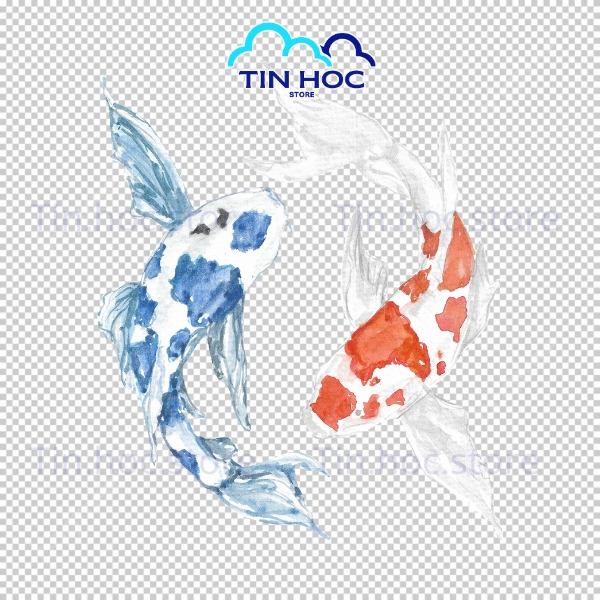 Mẫu cá chép vàng vector nền trắng cao cấp