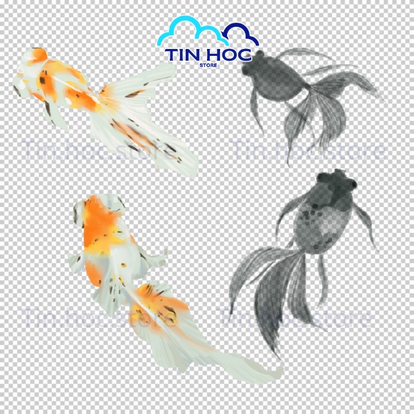 Mẫu cá chép vàng vector dùng cho trang trí Tết