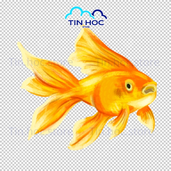 Mẫu cá chép vàng vector in ấn quảng cáo