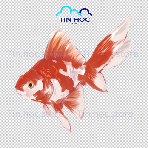 Mẫu cá chép vàng vector dùng cho trang trí Tết