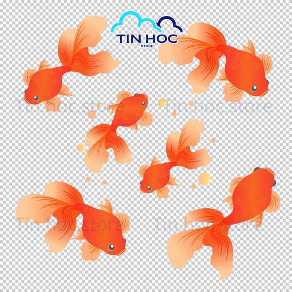 Mẫu cá chép vàng vector phong thủy may mắn