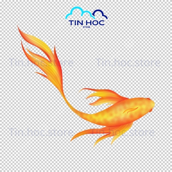 Mẫu cá chép vàng vector dùng cho logo thương hiệu