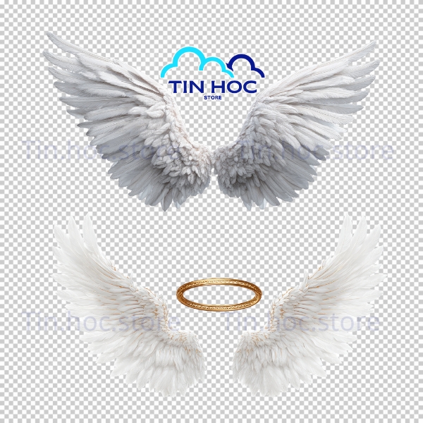 Mẫu cánh thiên thần vector fantasy ấn tượng