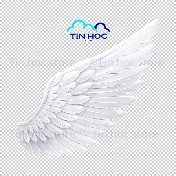 Mẫu cánh thiên thần vector trắng tinh khôi