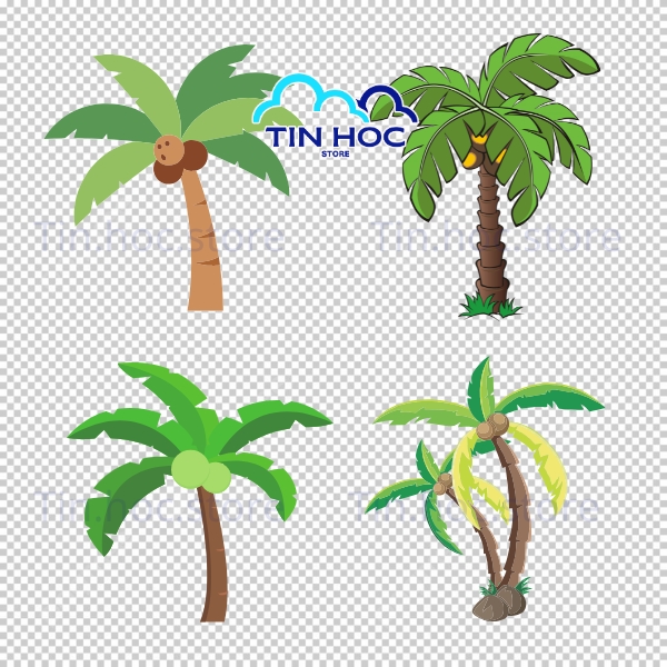 Mẫu Cây Dừa Vector Phong Cách Nhiệt Đới