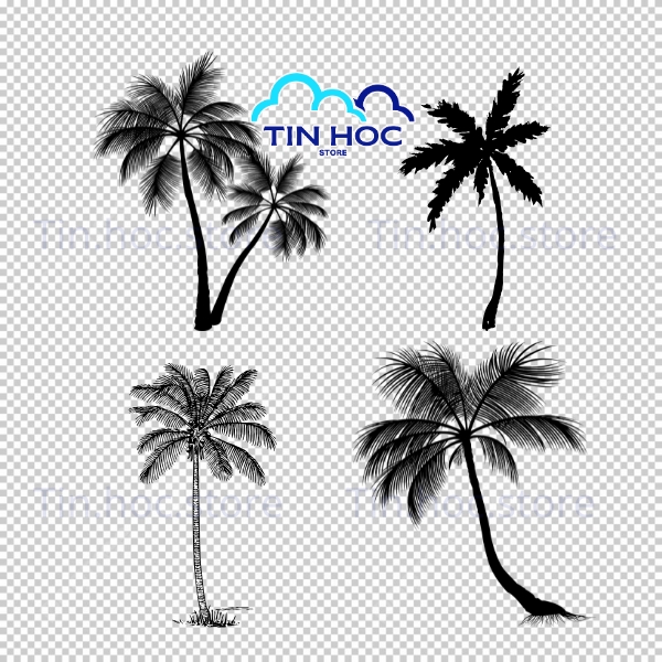 Mẫu Cây Dừa Vector Dùng Cho Website