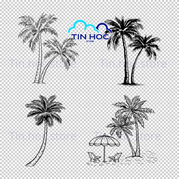 Mẫu Cây Dừa Vector Chất Lượng Cao