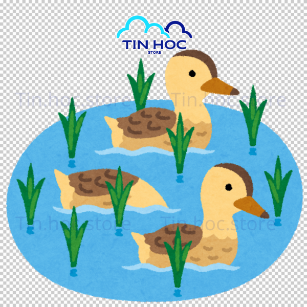 Mẫu hình ảnh con vịt bơi trong hồ đáng yêu file png tách nền