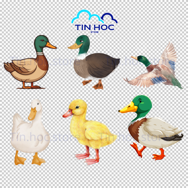 Mẫu con vịt vector được vẽ bằng những khối màu loang chuyển sắc hiện đại và mượt mà