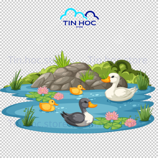 Mẫu thiết kế vịt con bơi trong hồ nước vector được xử lý bằng những đường nét tối giản, hiện đại