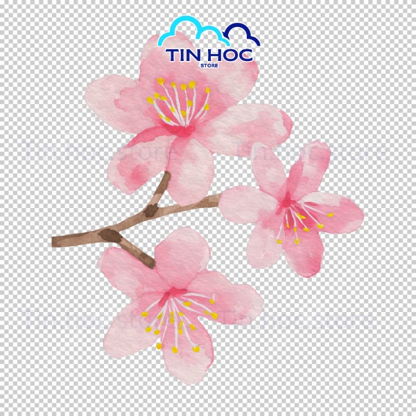 Mẫu Hoa Đào Vector Tết