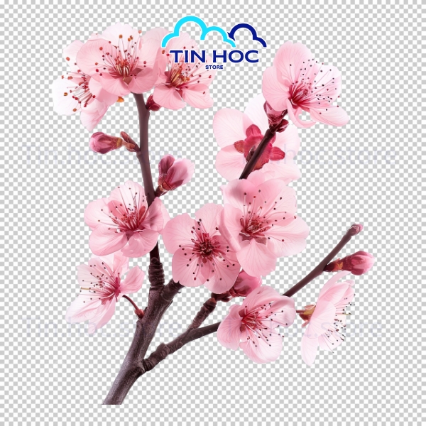 Hoa Đào Vector Tối Giản