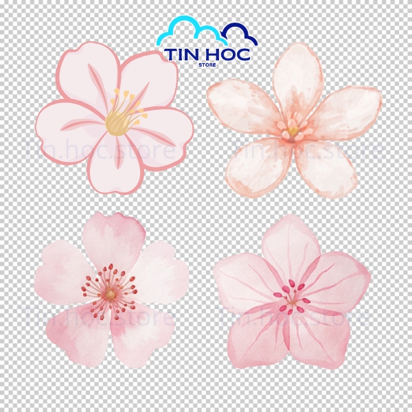 Hình Hoa Đào Vector Thiết Kế Web