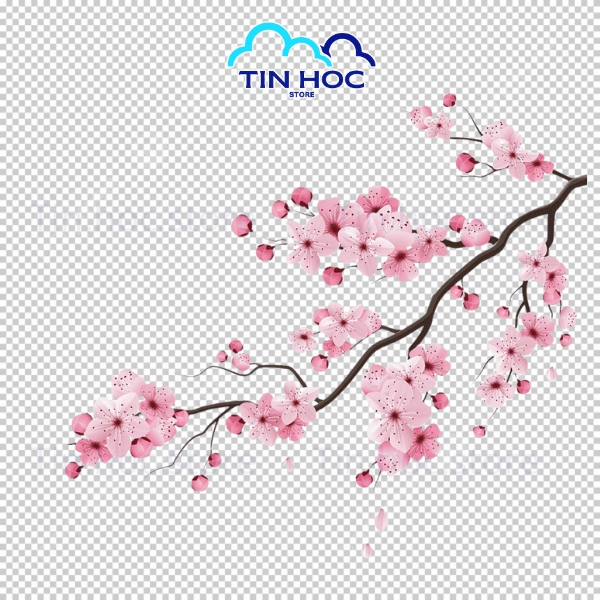 Bộ Vector Hoa Đào Trang Trí Tết