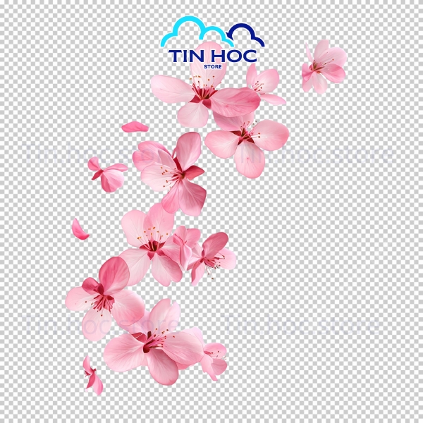 Mẫu Cánh Hoa Đào Vector