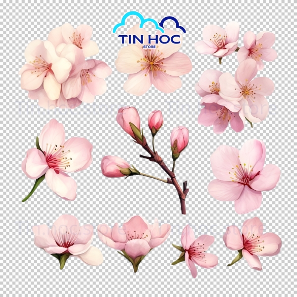 Hoa Đào Vector Phong Cách Truyền Thống