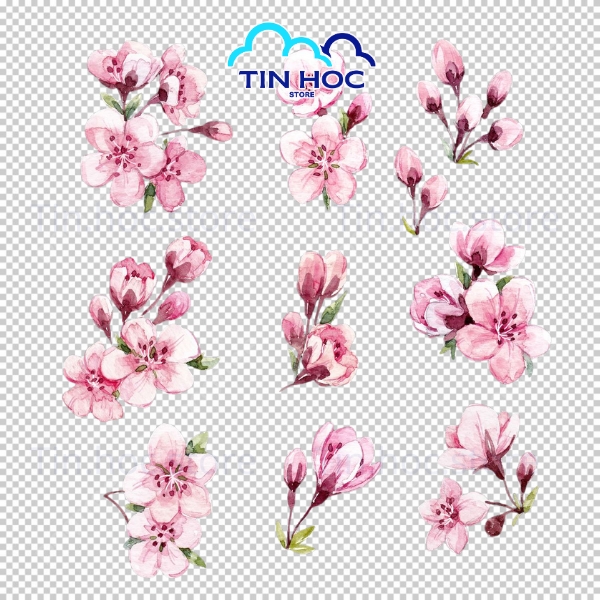 Hình Hoa Đào Vector Flat Design