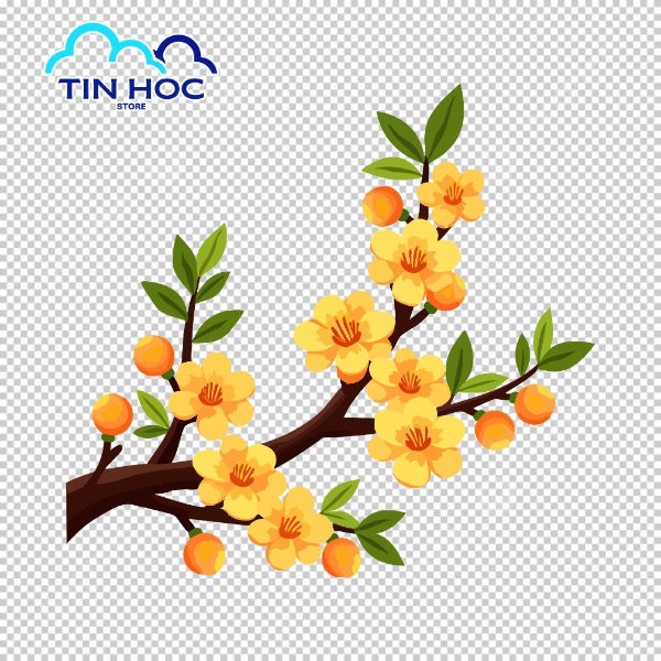 Hoa mai vector cho bảng hiệu và banner sự kiện