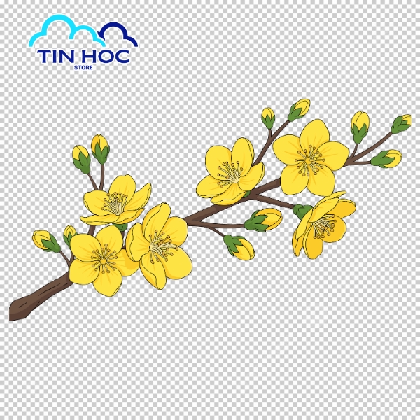 Bộ mẫu hoa mai vector file AI – EPS dễ chỉnh sửa