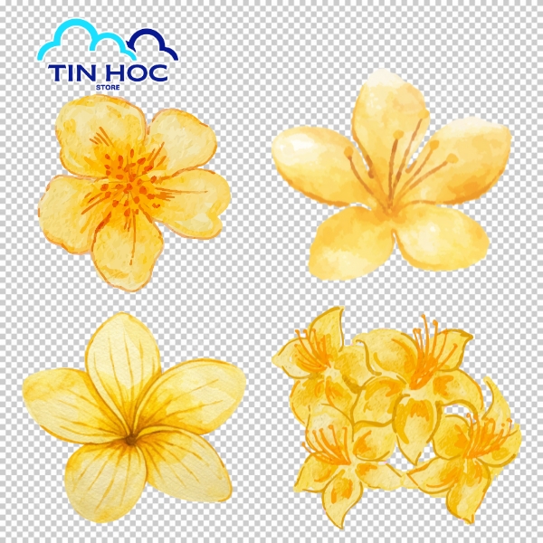 Mẫu hoa mai vector gradient phong cách hiện đại