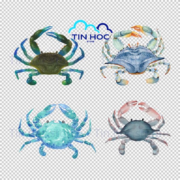 Mẫu con cua vector sáng tạo cho designer