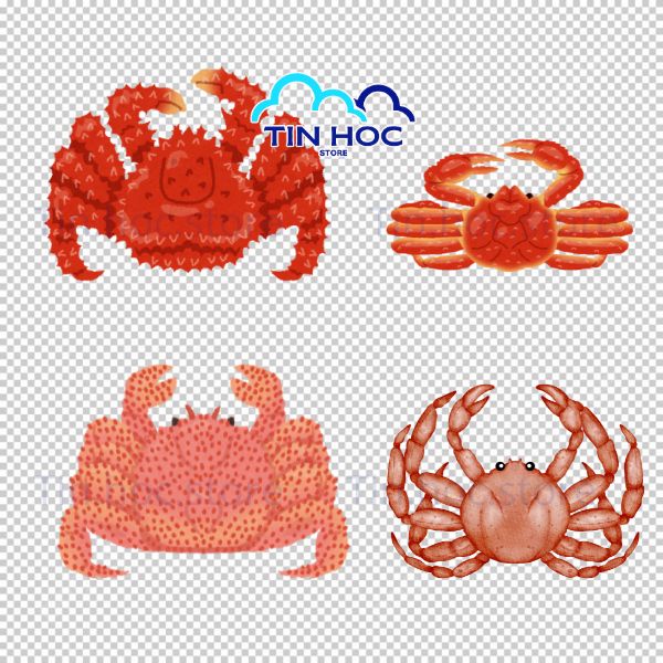 Mẫu con cua vector cách điệu độc đáo