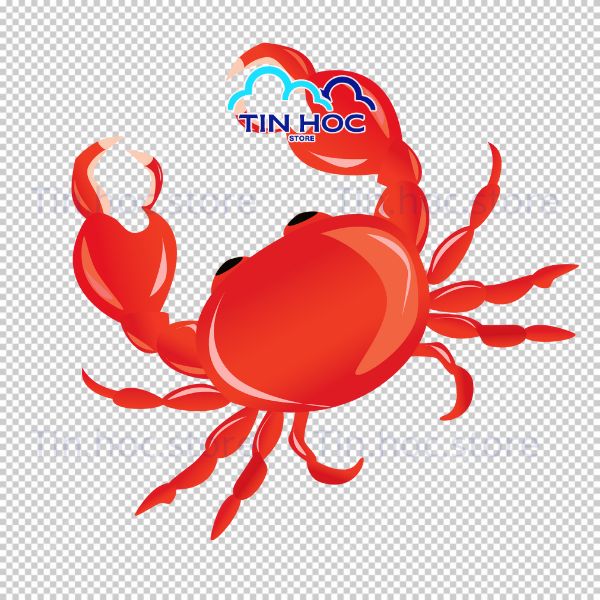 Mẫu con cua vector dễ thương nền trắng