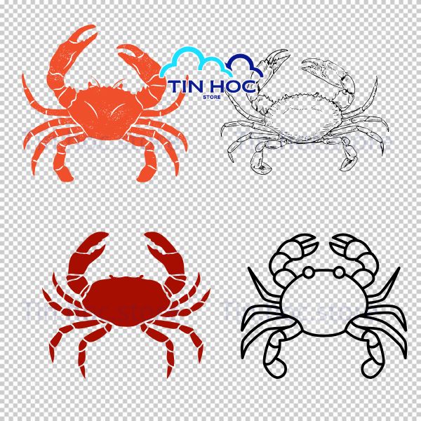 Mẫu con cua vector phong cách kawaii