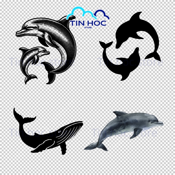 Mẫu cá heo vector minh họa biển