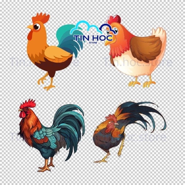 Con gà vector thiết kế đồ họa số