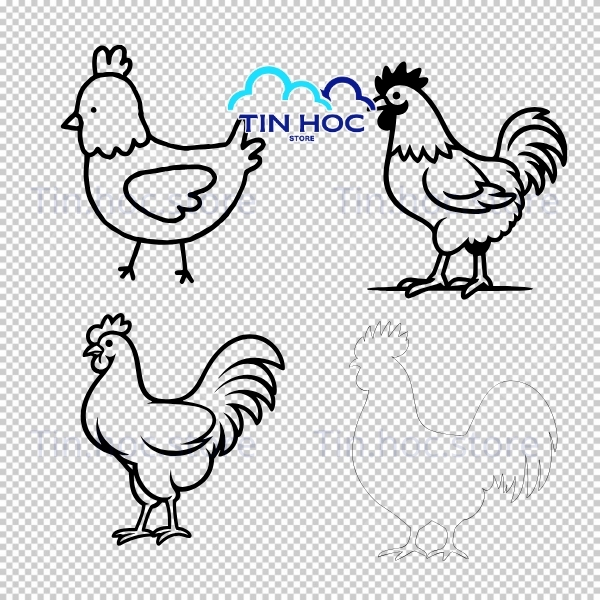 Con gà vector dành cho poster