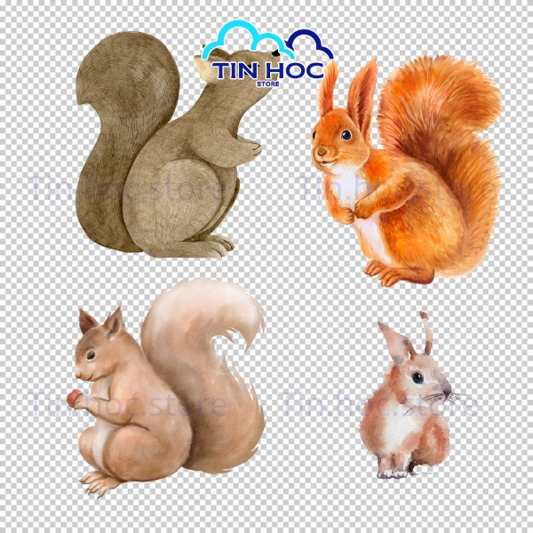 Mẫu con sóc vector tạo hình dễ thương