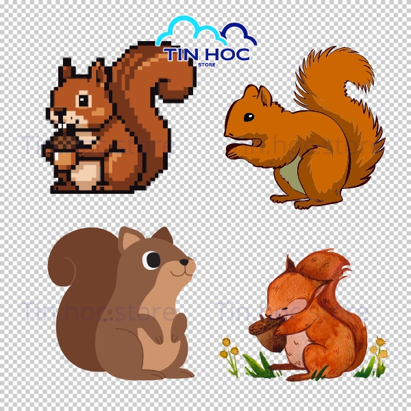 Mẫu con sóc vector dễ thương dùng cho in áo