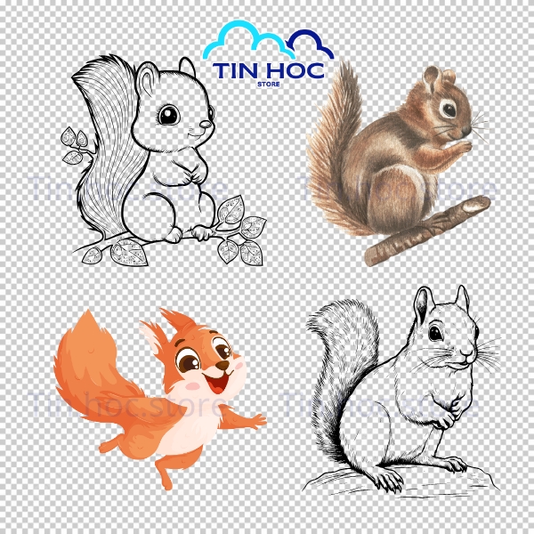 Mẫu con sóc vector tạo hình đơn giản