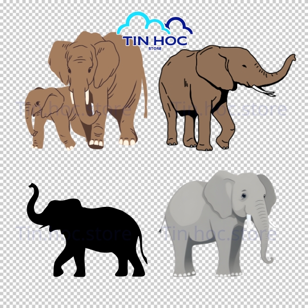 Mẫu con voi vector thiết kế chuyên nghiệp