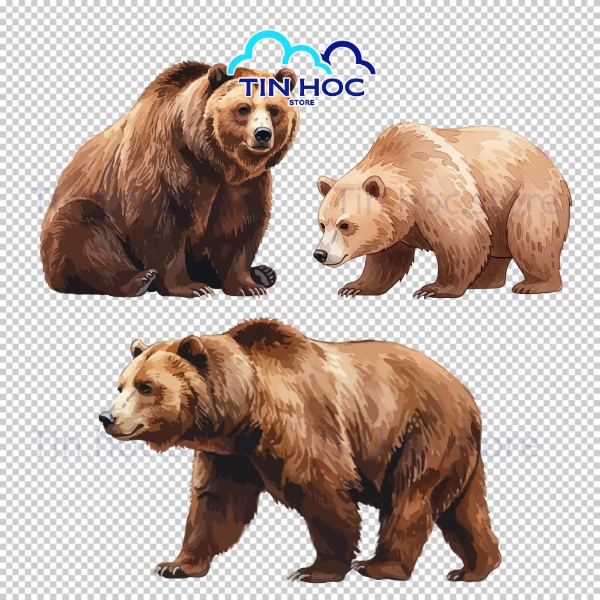 Mẫu gấu vector gấu con ngộ nghĩnh