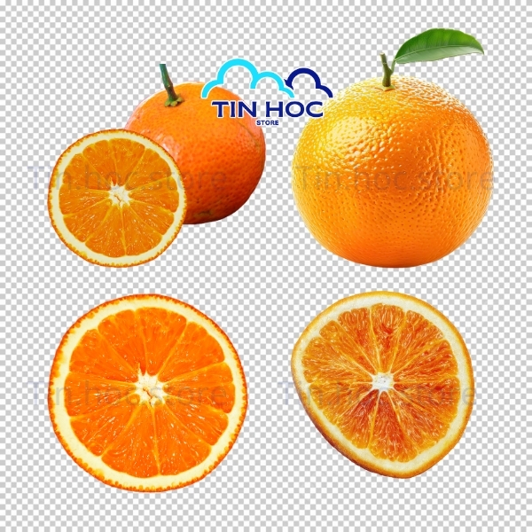 Mẫu quả cam vector minh họa hoạt hình