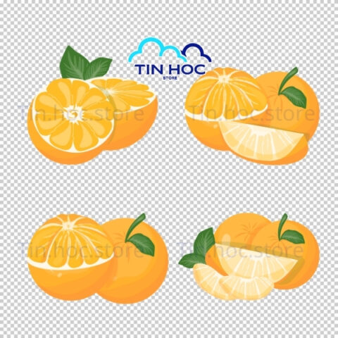 Mẫu quả cam vector đơn giản cho logo