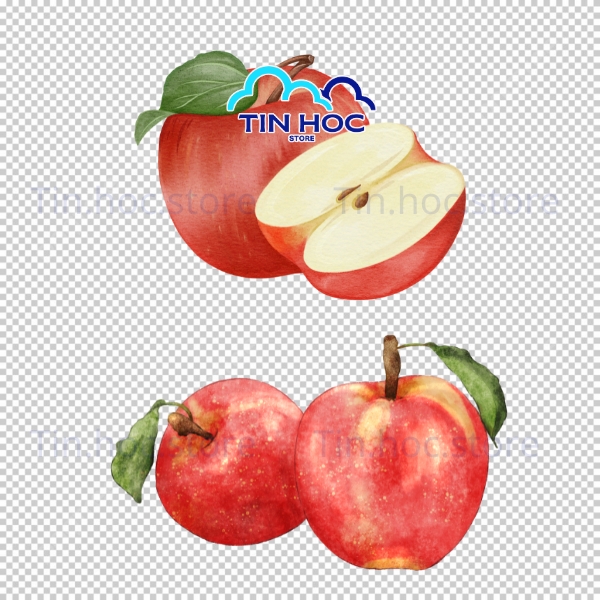 Mẫu quả táo vector dùng trong in ấn