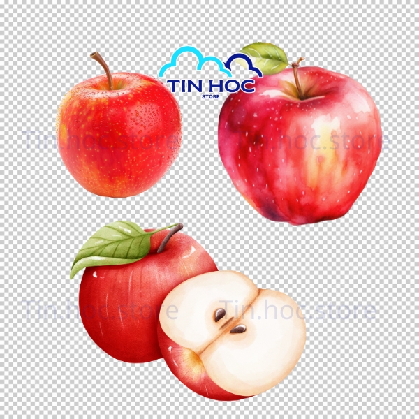 Mẫu quả táo vector thiết kế chuyên nghiệp