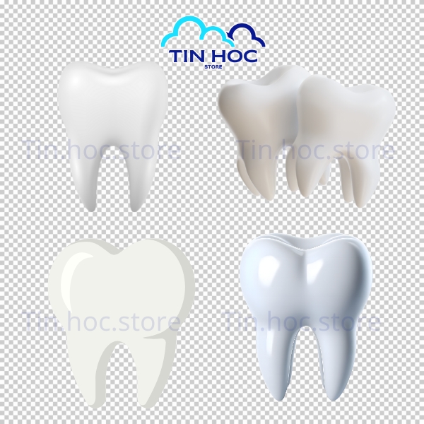 Mẫu răng vector nha khoa chuyên nghiệp