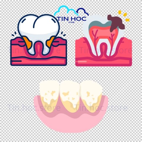 Mẫu răng vector miễn phí cho thiết kế