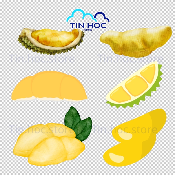 Sầu riêng vector minh họa chi tiết gai vỏ