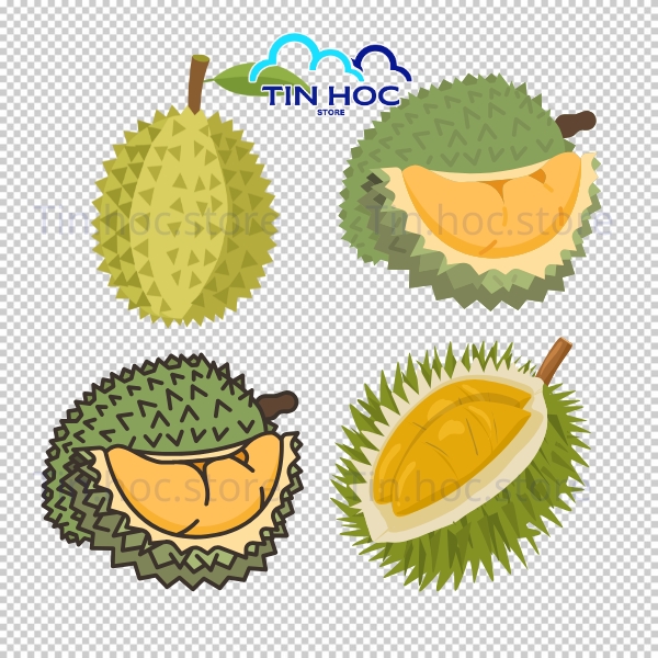 Sầu riêng vector trái chín vàng đẹp