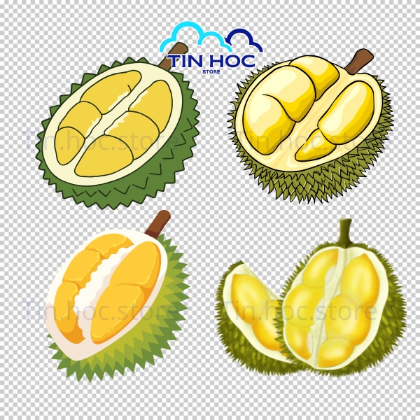 Sầu riêng vector dùng cho thiết kế logo
