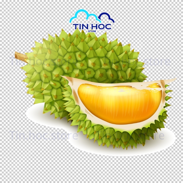 Sầu riêng vector phong cách hoạt hình