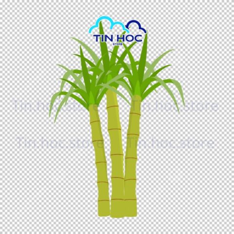 Mẫu cây mía vector đơn sắc cho in ấn