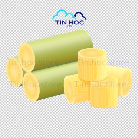 Mẫu cây mía vector chi tiết sắc nét